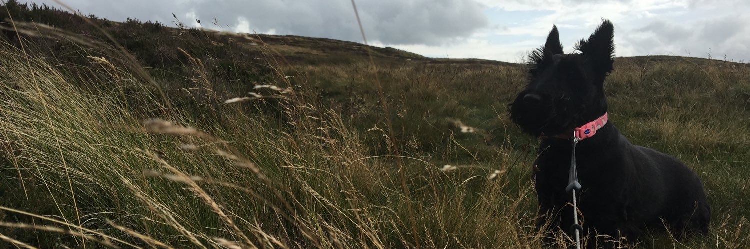 Mari Elin Wiliam banner