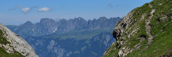schelldorfer Profile Banner