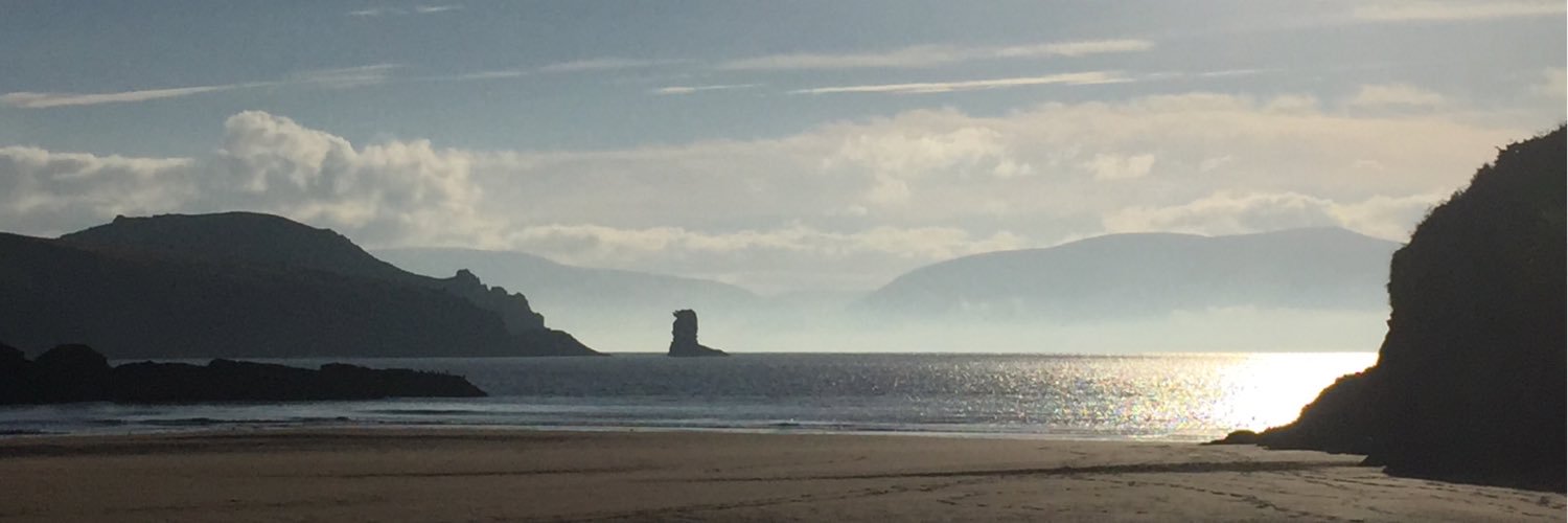 Sir Ciarán Devane banner