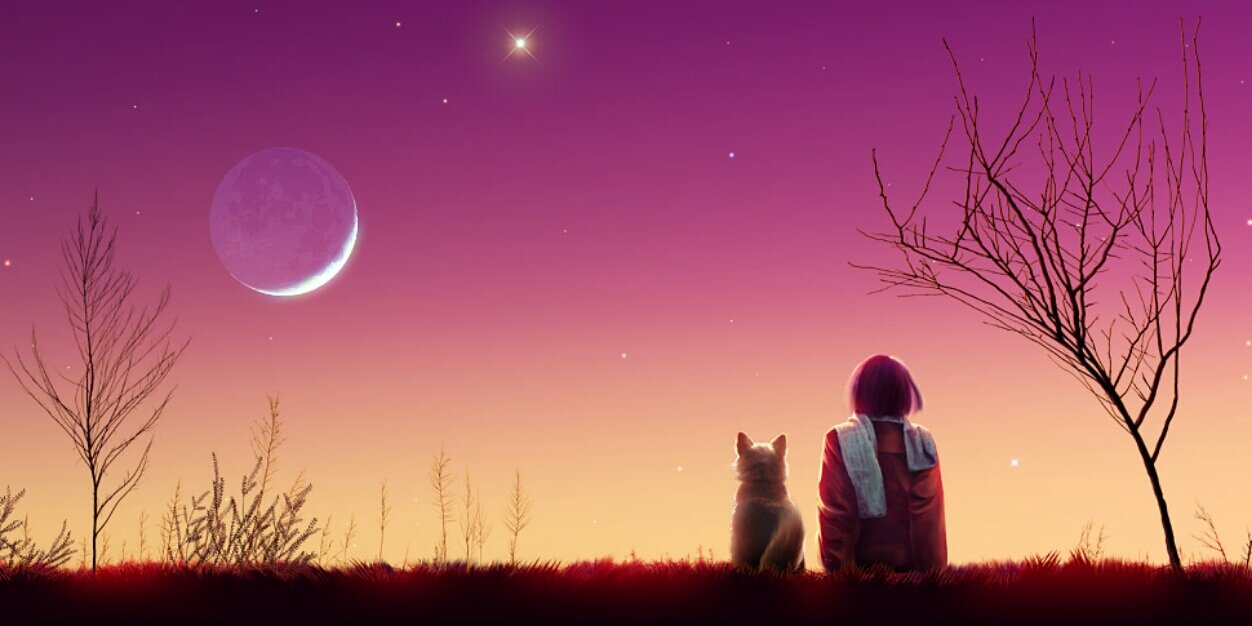 FaRa_Pii's profile banner image