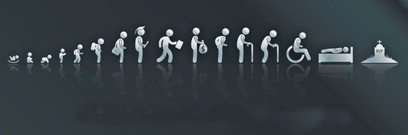 torriciello's profile banner image