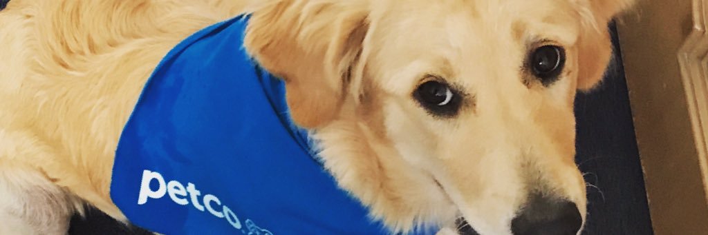 danfinkel3's profile banner image