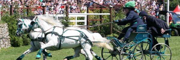 Orchard_Scurry Profile Banner