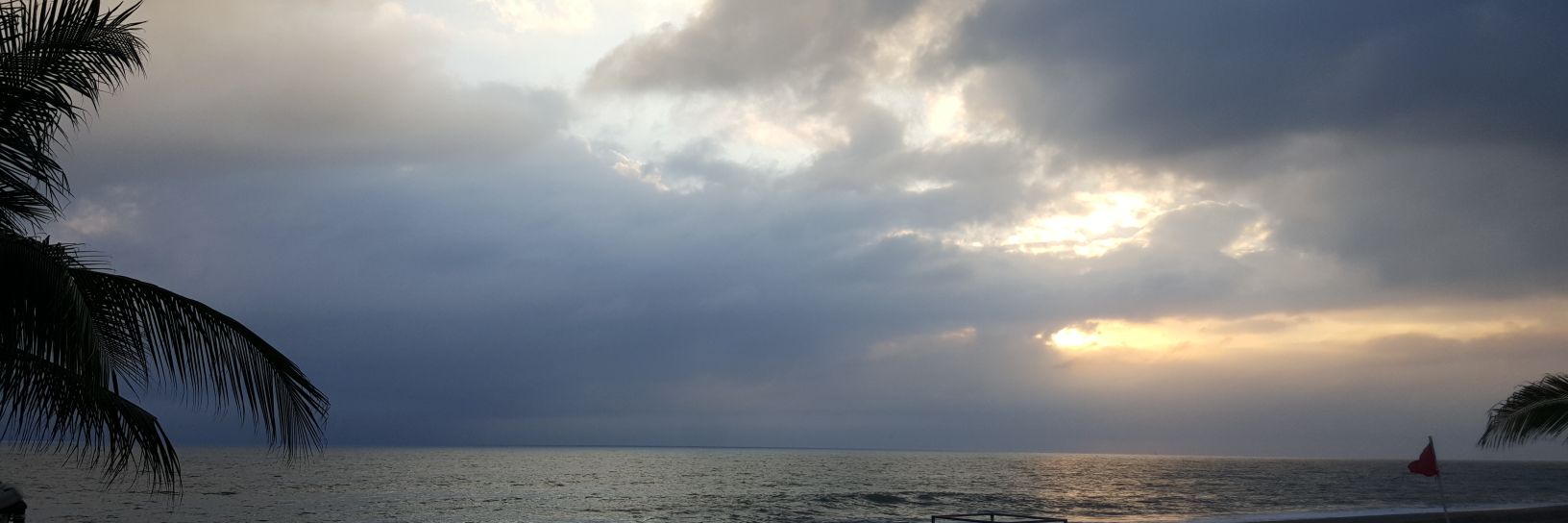 susanbcasey's profile banner image