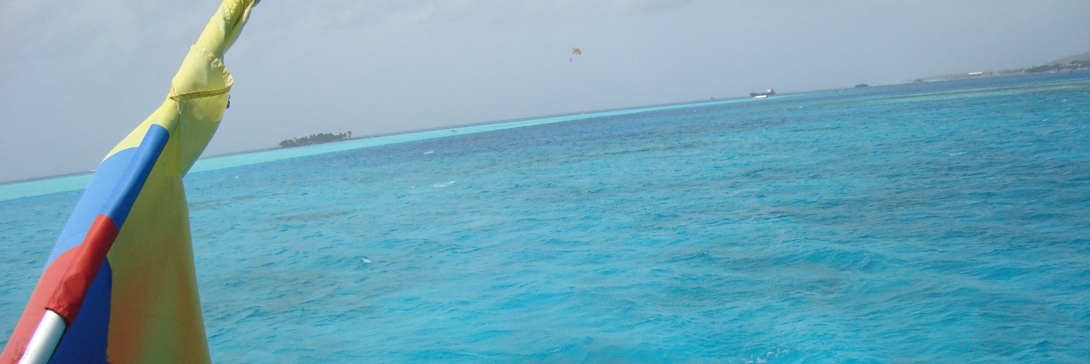 Natica_H's profile banner image