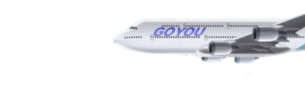 iflyswhitenoise's profile banner image