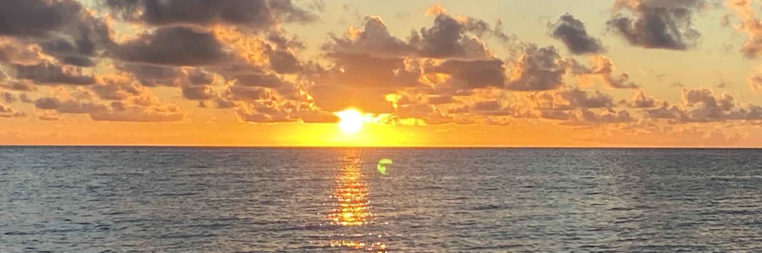 David Rowlands banner