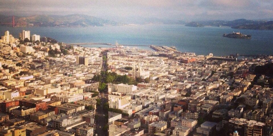 Vicky Brodsky banner