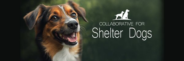 Ctr4ShelterDogs Profile Banner