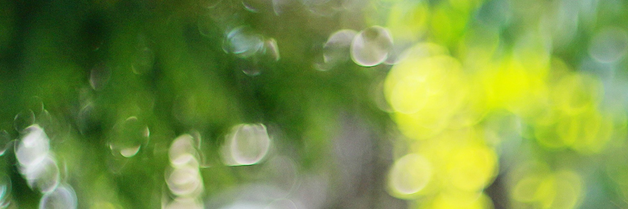 luc_rok's profile banner image