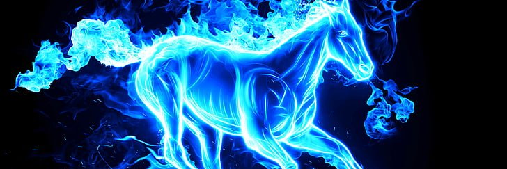 DagingaFredman banner