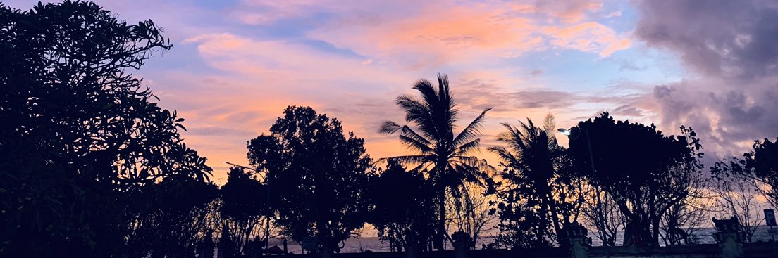 Litsa_E's profile banner image