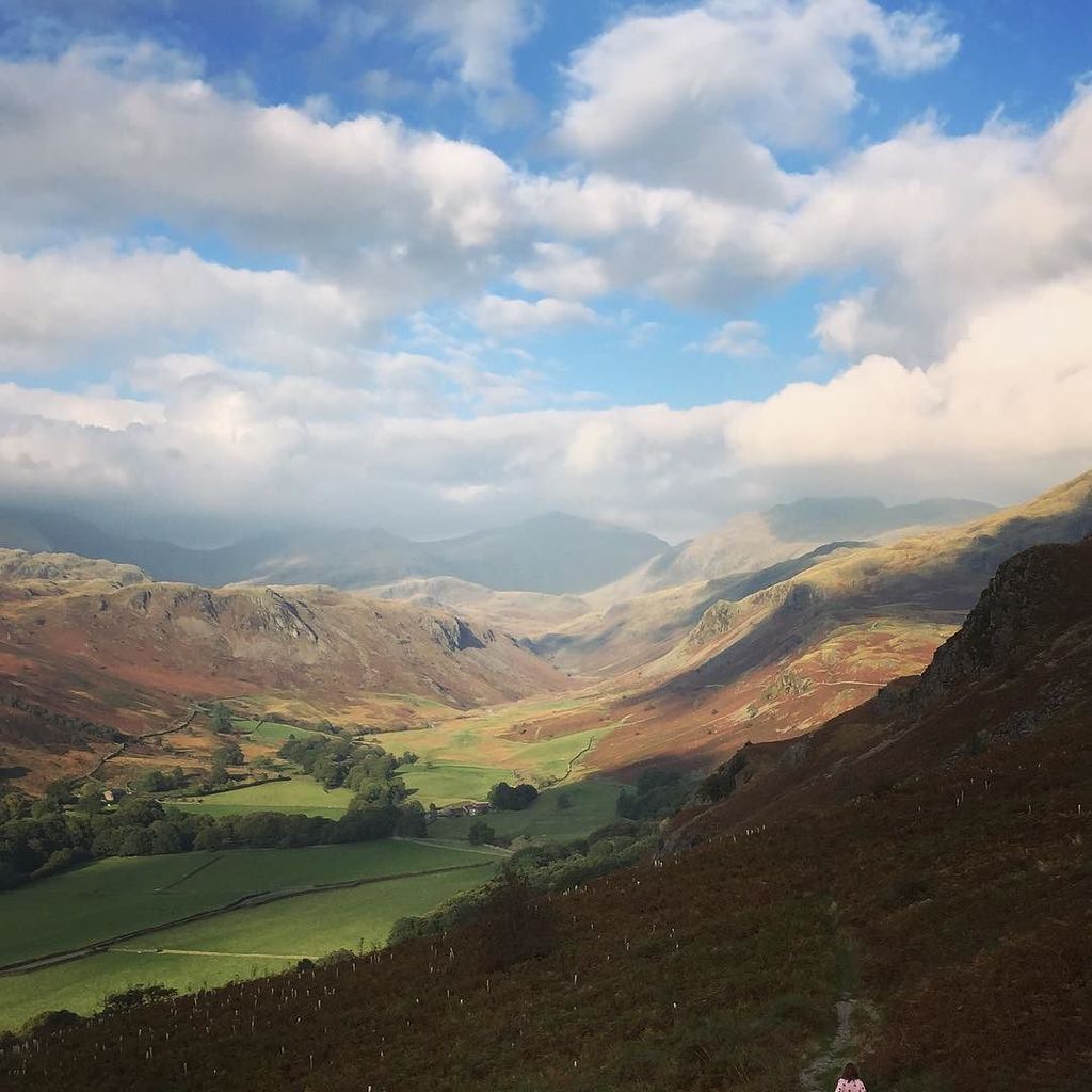 FionaHolmes's profile banner image