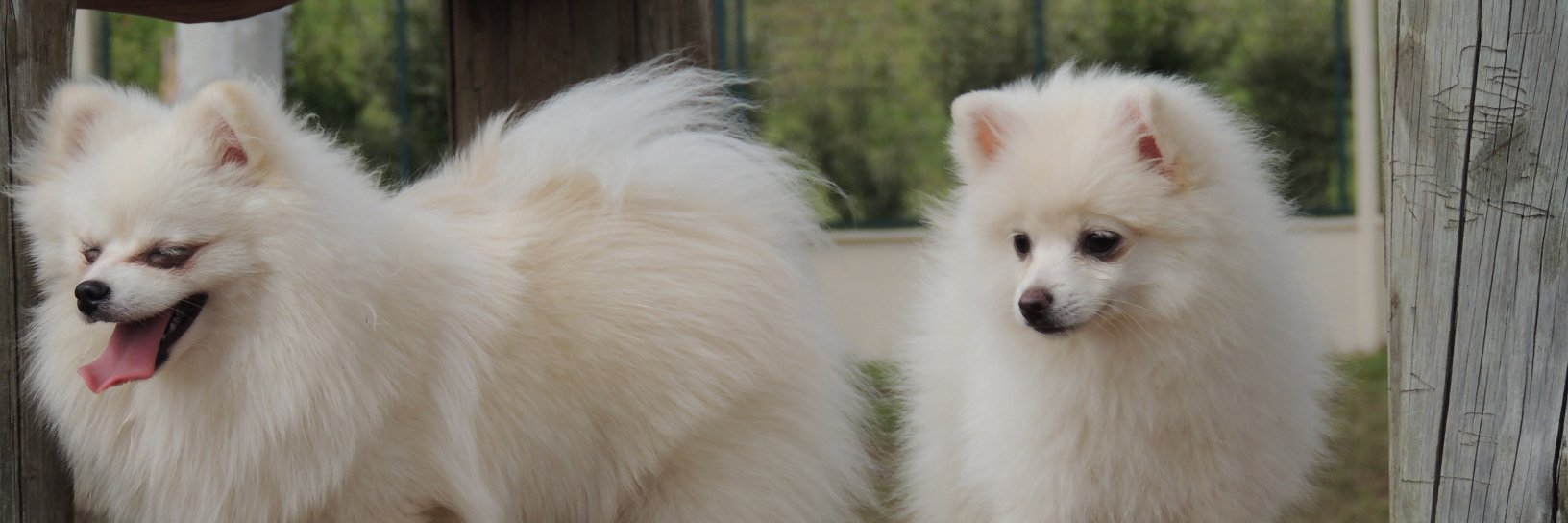 xbrv's profile banner image