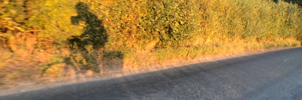 DrPoo Profile Banner