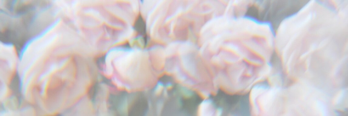 TheLizIssue's profile banner image