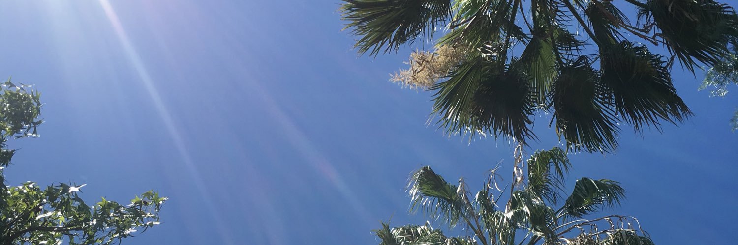 bababa7's profile banner image