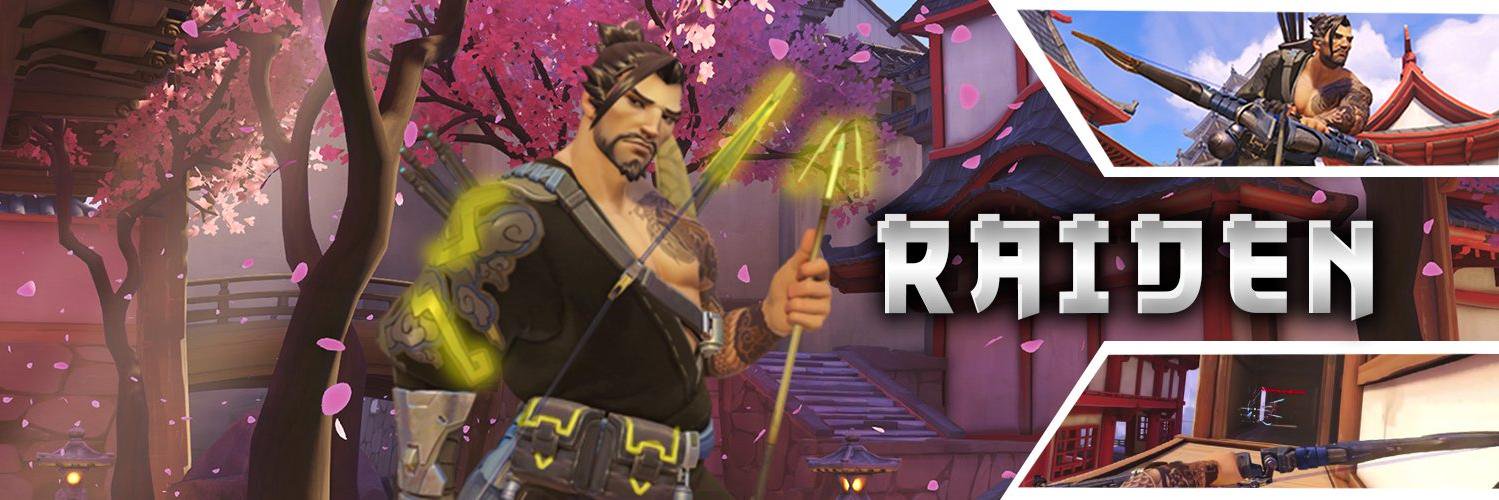 Raiden banner