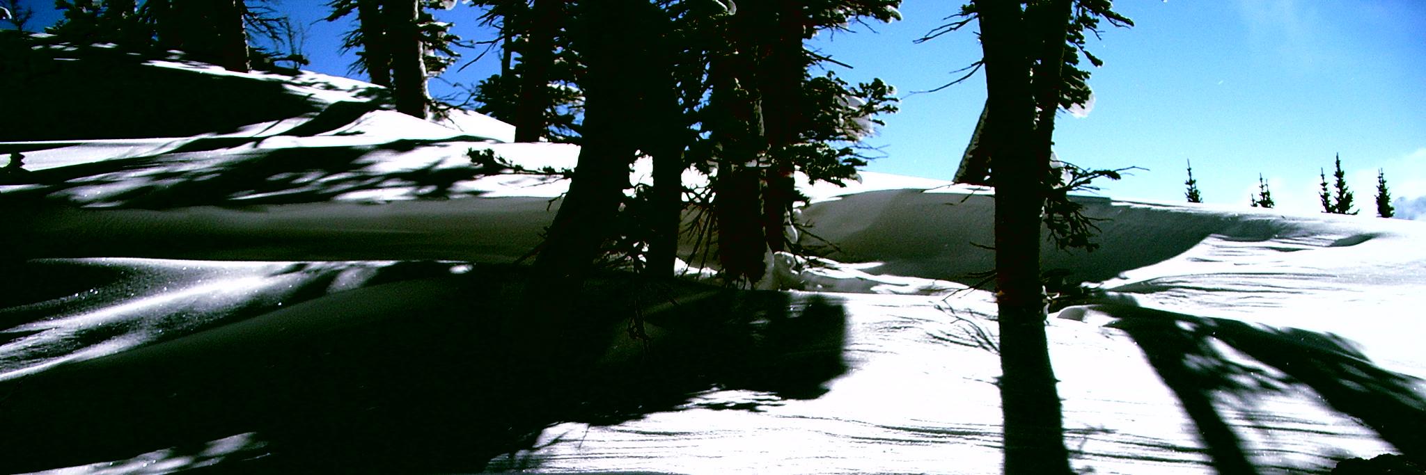 ADHDrandomness's profile banner image