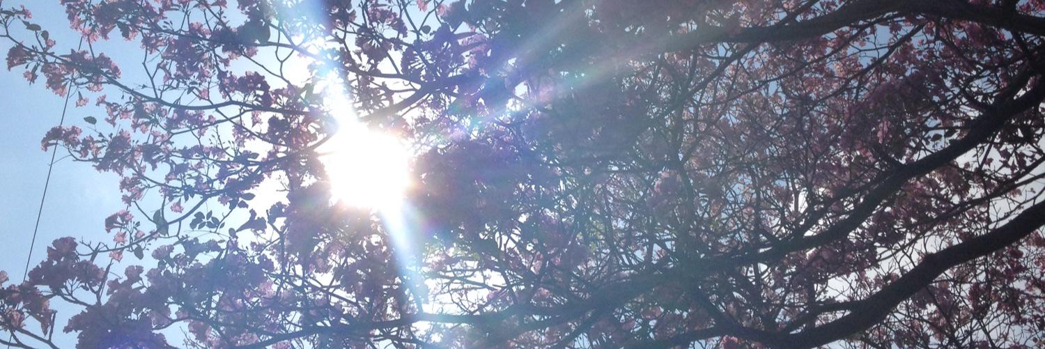 Fanuelp's profile banner image