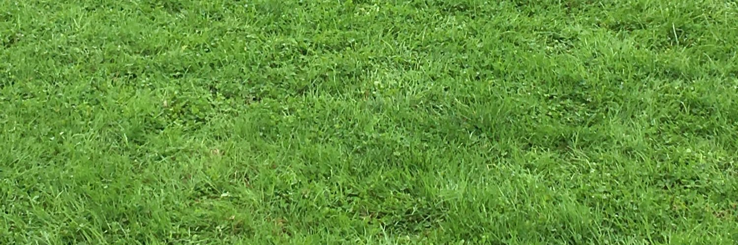 tokeytime's profile banner image