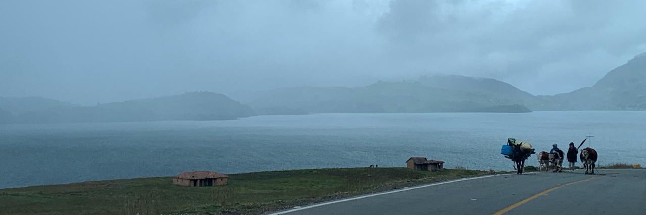 moralesmunera's profile banner image