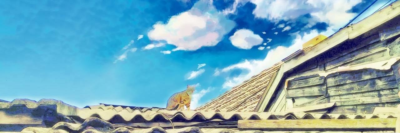 mingword's profile banner image