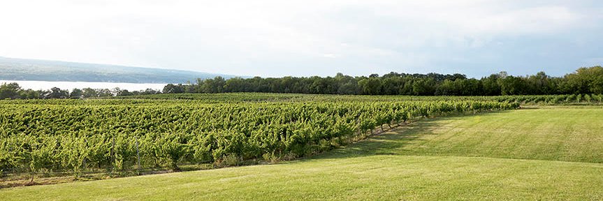 StandingStoneNY's profile banner image