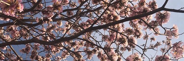 luminice_'s profile banner image
