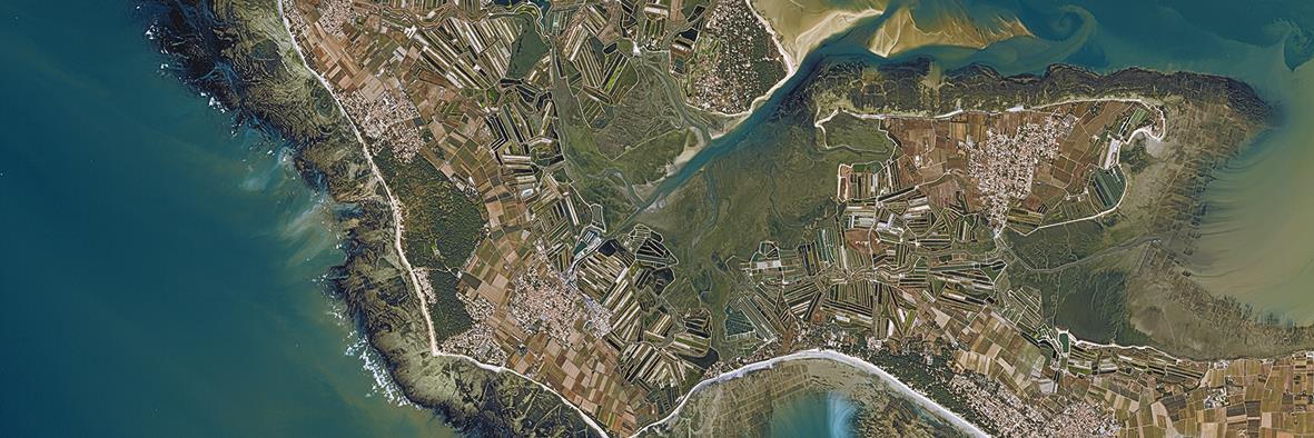 Kianouch DORRANI (Kiandorr) banner