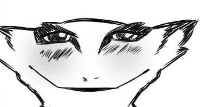 Lashhuu's profile banner image