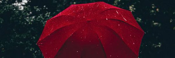 SteppingStoneNS Profile Banner