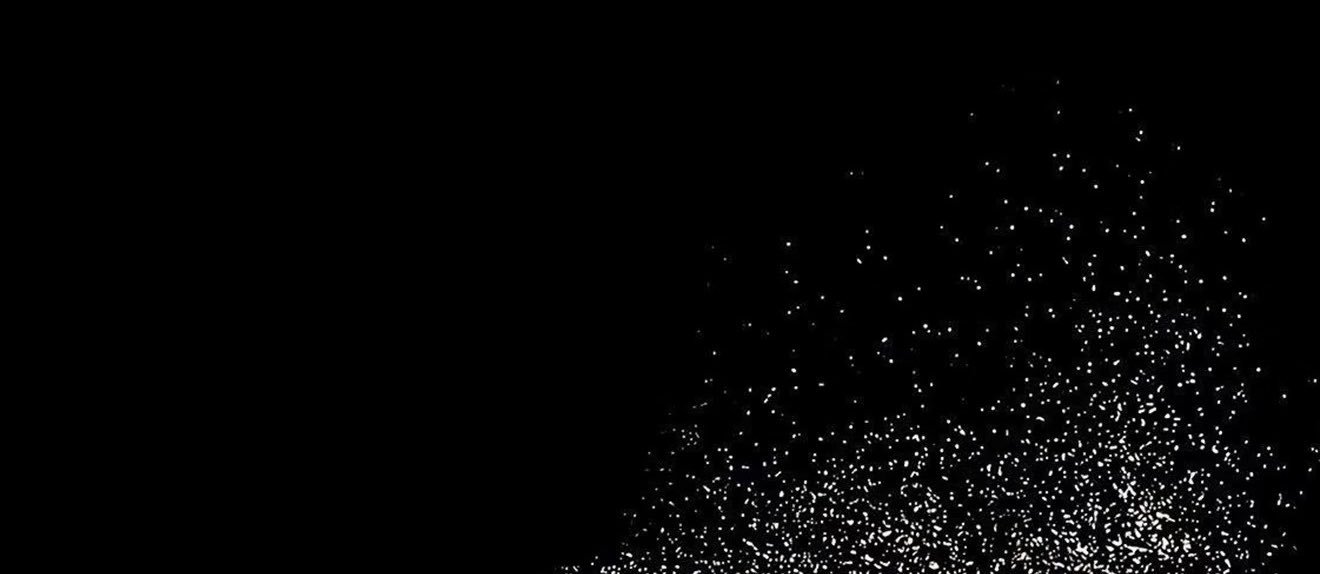 AriieXBT's profile banner image