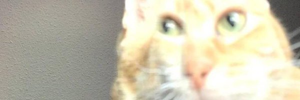 co_oke Profile Banner