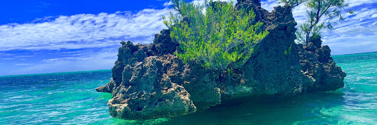 knabeesse's profile banner image