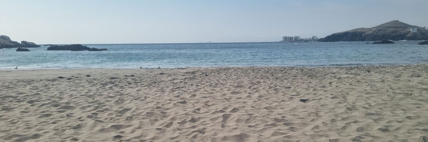 lizzettetr's profile banner image