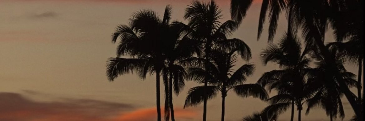 Leiirbag_'s profile banner image