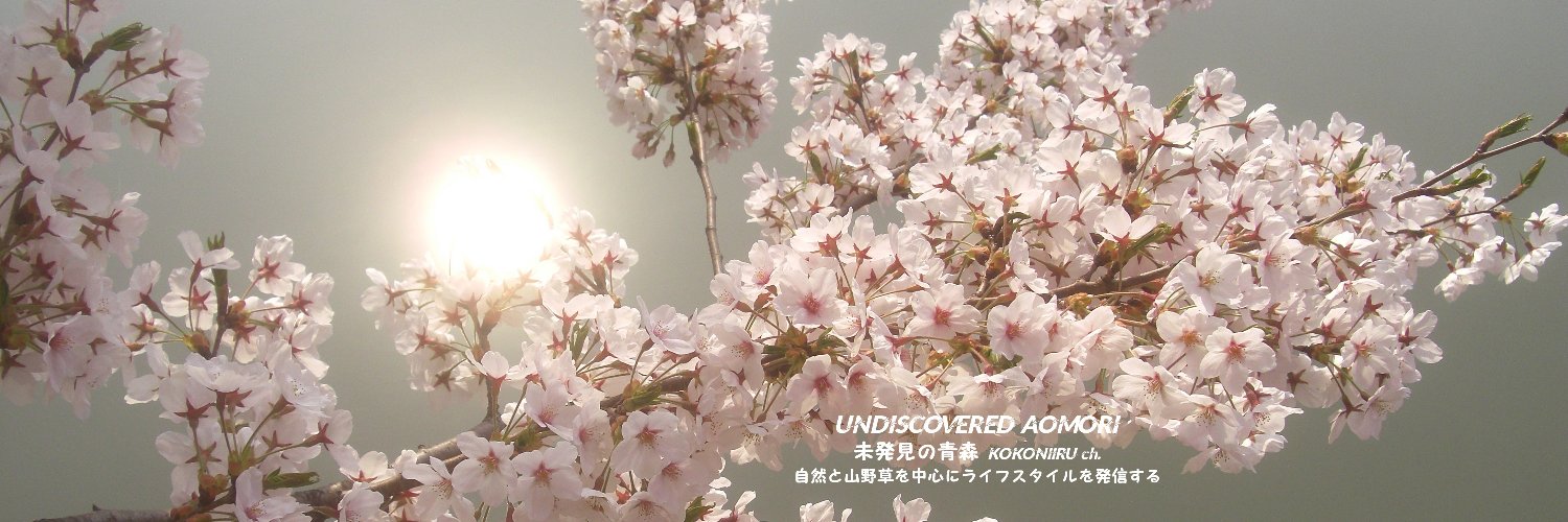 KATENKA_jp's profile banner image