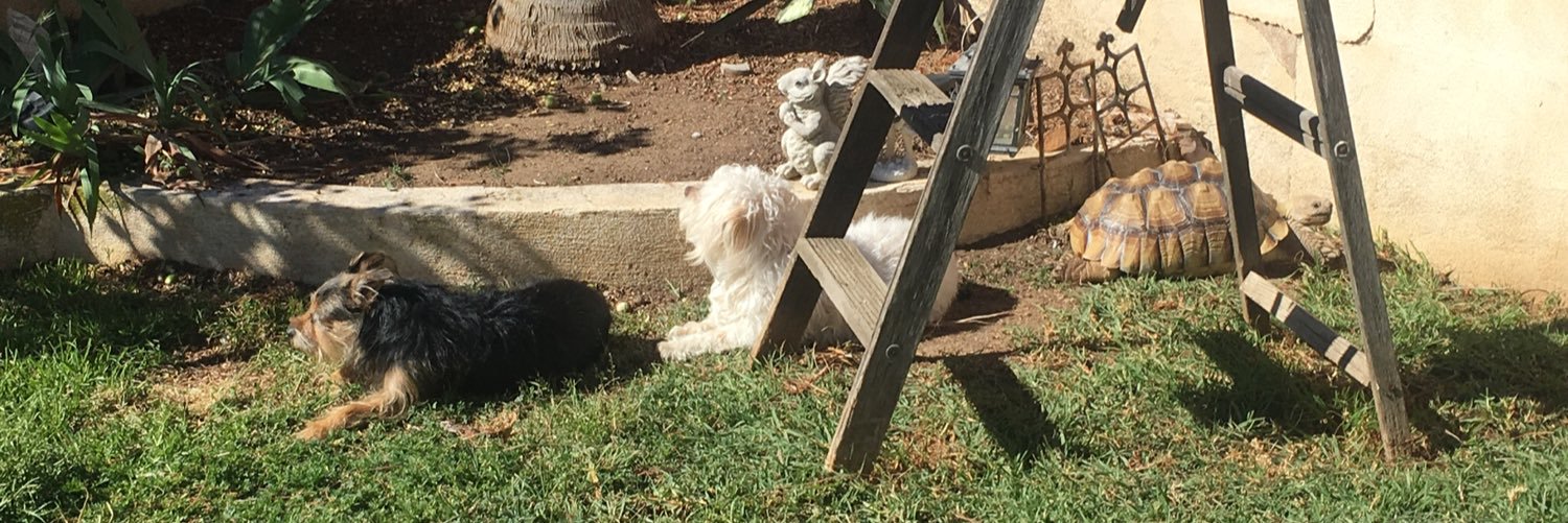 Rebeca Cabrera banner