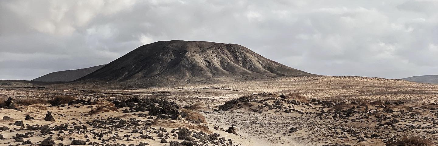 Andrea Cassani banner