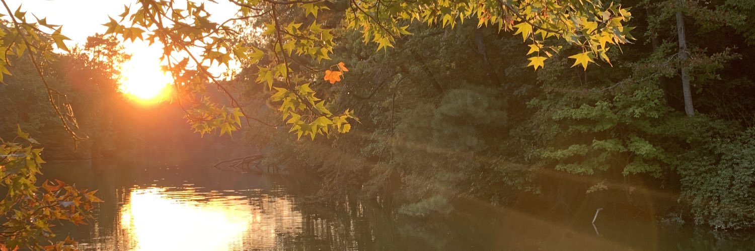 CaseySconyers's profile banner image