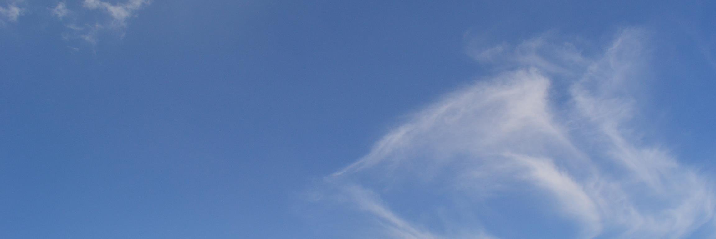 Luzmitaleon's profile banner image