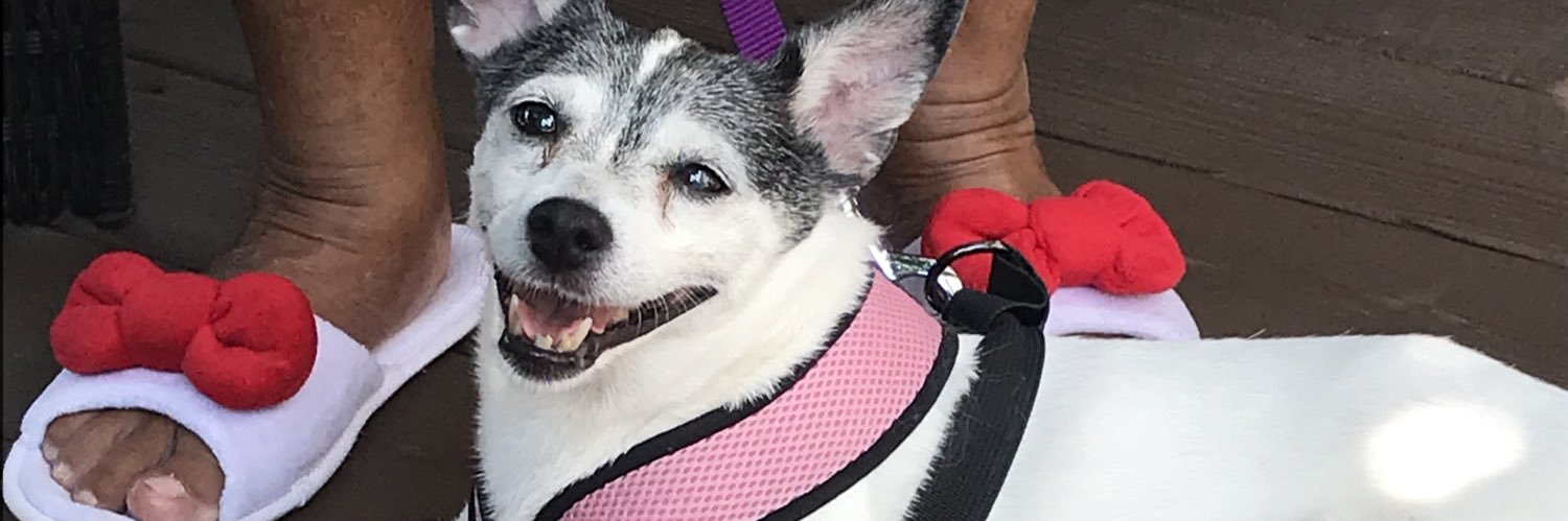 alaina_'s profile banner image