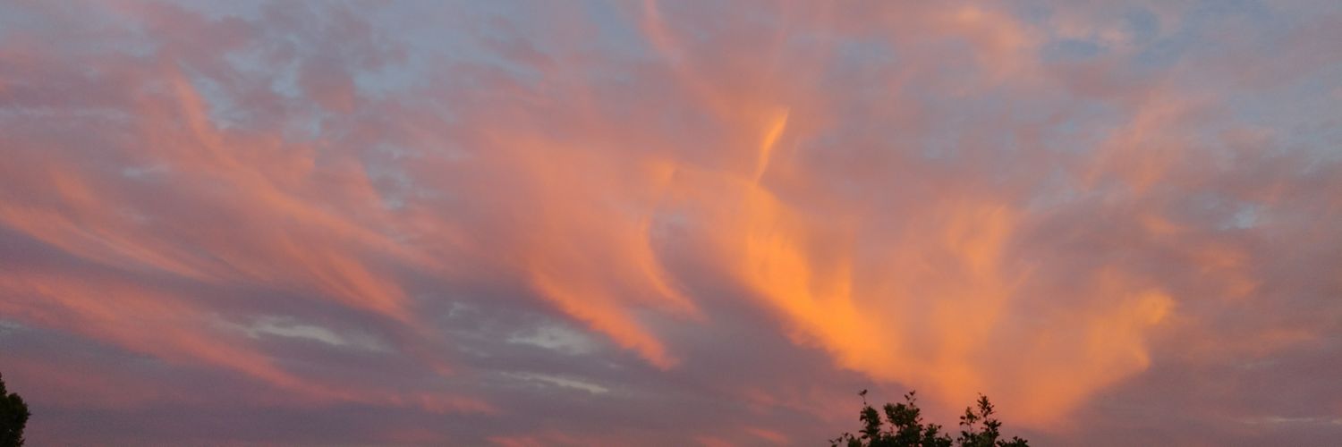 mixosaurus's profile banner image