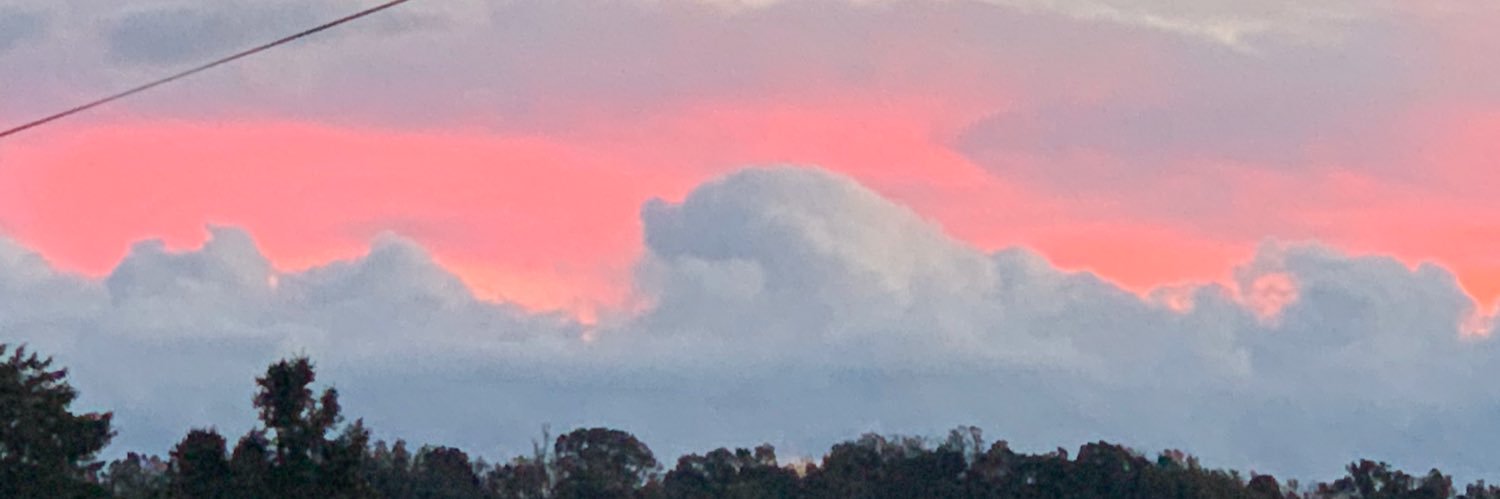 Silasknox's profile banner image