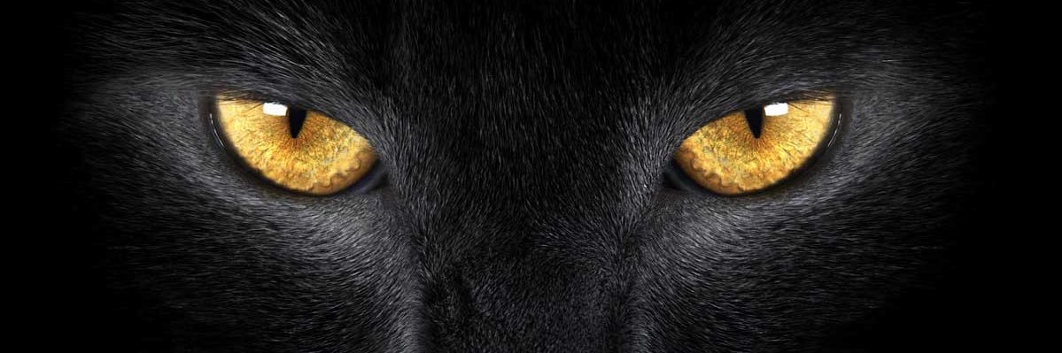 NICOBHB's profile banner image