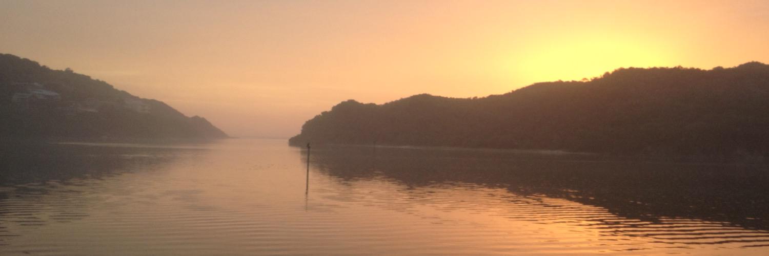 Joanne Scholtz banner