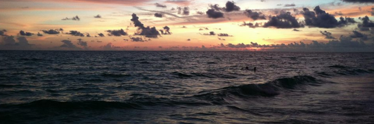 lpkatz's profile banner image