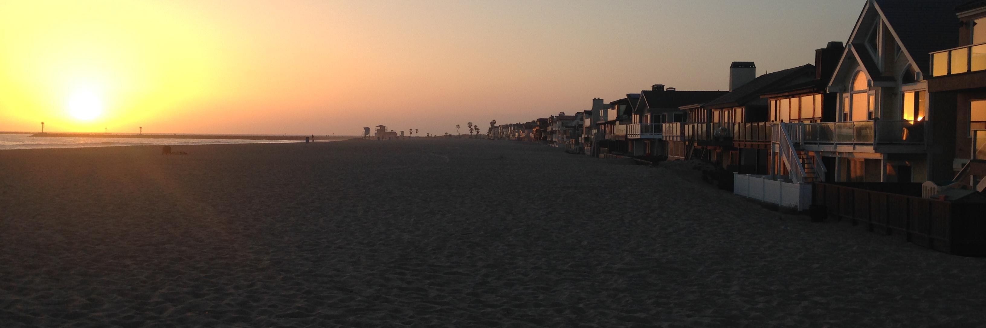 Chrisnelle Joie banner