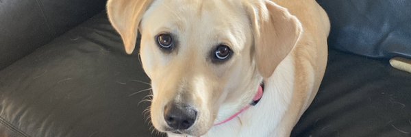 Twigser Profile Banner